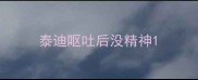 泰迪呕吐后没精神