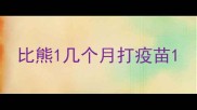 比熊1几个月打疫苗
