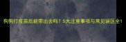 狗狗打疫苗后能带出去吗5大注意事项与常见误区全