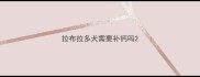 拉布拉多犬需要补钙吗