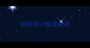 狗狗多少度是发烧