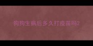 狗狗生病后多久打疫苗吗
