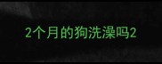 2个月的狗洗澡吗