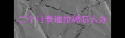 二个月泰迪拉稀怎么办