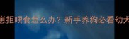 母狗护崽拒喂食怎么办新手养狗必看幼犬喂养指南