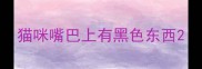 猫咪嘴巴上有黑色东西