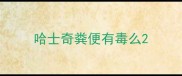 哈士奇粪便有毒么