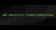 猫咪一直舔自己怎么办专业兽医五大原因与应对指南