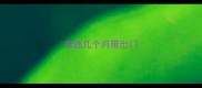 泰迪几个月带出门