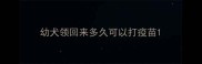 幼犬领回来多久可以打疫苗
