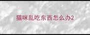 猫咪乱吃东西怎么办