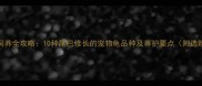 长尾龟饲养全攻略10种尾巴修长的宠物龟品种及养护要点附选购指南