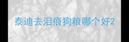 泰迪去泪痕狗粮哪个好