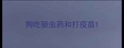 狗吃驱虫药和打疫苗