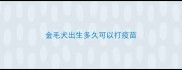 金毛犬出生多久可以打疫苗