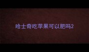 哈士奇吃苹果可以肥吗