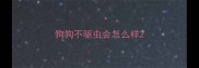 狗狗不驱虫会怎么样