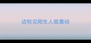 边牧见陌生人就激动