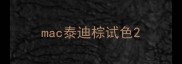 mac泰迪棕试色