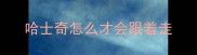 哈士奇怎么才会跟着走