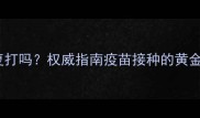 比熊犬疫苗可重复打吗权威指南疫苗接种的黄金法则与注意事项