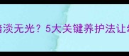 边牧三个月毛色暗淡无光5大关键养护法让幼犬焕发光泽皮毛