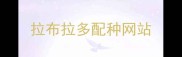 拉布拉多配种网站
