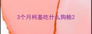 3个月柯基吃什么狗粮