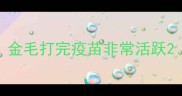 金毛打完疫苗非常活跃