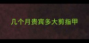 几个月贵宾多大剪指甲