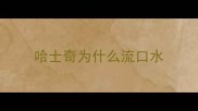 哈士奇为什么流口水
