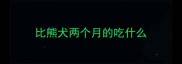 比熊犬两个月的吃什么
