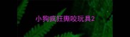 小狗疯狂撕咬玩具