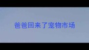 爸爸回来了宠物市场