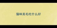 猫咪美毛吃什么好