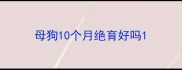 母狗10个月绝育好吗