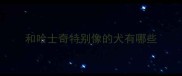 和哈士奇特别像的犬有哪些