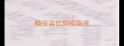 猫疫苗比狗疫苗贵