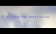 最新宠物店闭眼入不踩雷这8种萌宠狗子养了不后悔