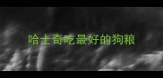 哈士奇吃最好的狗粮