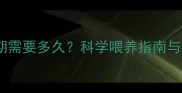 萨摩耶哺乳期需要多久科学喂养指南与注意事项全