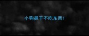 小狗鼻干不吃东西