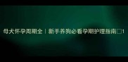 母犬怀孕周期全新手养狗必看孕期护理指南
