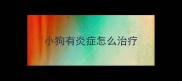 小狗有炎症怎么治疗