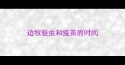 边牧驱虫和疫苗的时间