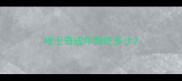 哈士奇成年狗吃多少