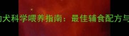 边境牧羊犬幼犬科学喂养指南最佳辅食配方与营养搭配全