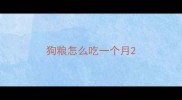 狗粮怎么吃一个月