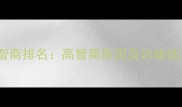 拉布拉多智商排名高智商原因及训练技巧全指南