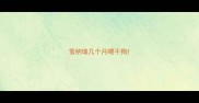 雪纳瑞几个月喂干狗